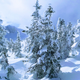 Illustration for article titled 18/19 Ski Blog (Post #8) - Jackson Hole, WYem/em